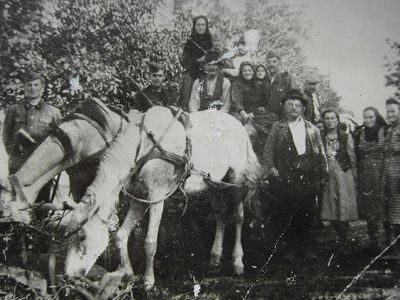 Flucht und Vertreibung - Donauschwaben